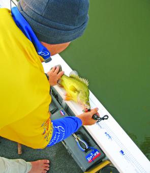 The wide gunwales are the perfect place for applying the various measuring stickers you come across. This makes it easy to measure the length of fish, just make sure a bit of water has been splashed on the surface to cool and wet it and make sure you